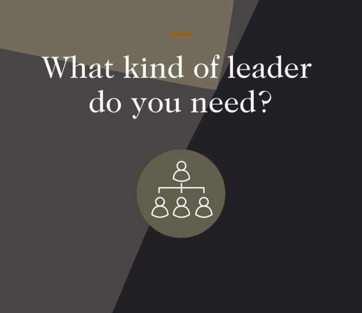 What kind of leader do you need?